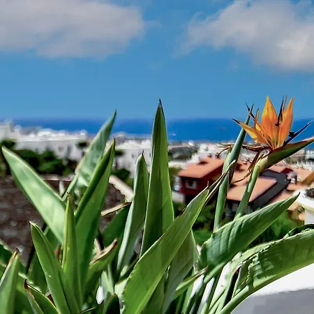 Mimosas Villa